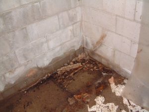 basement-waterproofing-hilliard-oh-everdry-waterproofing-of-columbus-2